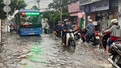 Ho Chi Minh-staden: Högvatten, många vägar översvämmade