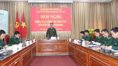 Grănicerii răspund proactiv la furtuna nr. 13