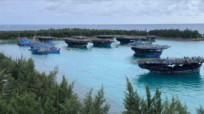 بیش از ۵۰۰ ماهیگیر فعال در منطقه جزیره ترونگ سا را ​​برای یافتن سرپناه امن پشتیبانی کرد.