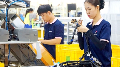 Developing supporting industries towards green production