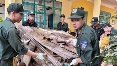 ນະຄອນ ດ່າໜັງ ອະນຸຍາດໃຫ້ນັກຮຽນຢູ່ໂຮງຮຽນຕັ້ງແຕ່ຕອນບ່າຍມື້ອື່ນ ເພື່ອຮັບມືກັບພາຍຸ Kalmaegi