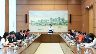 Sửa Luật Thuế thu nhập cá nhân: Đại biểu Quốc hội đề xuất nhiều điều chỉnh quan trọng