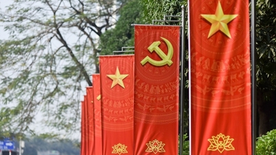 Comments on draft documents submitted to the 14th National Party Congress: Demonstrating responsibility, belief, and aspiration to build and develop the country