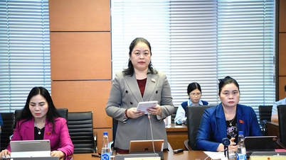 តំណាងរាស្រ្តខេត្ត ចូលរួមផ្តល់យោបល់លើសេចក្តីព្រាងច្បាប់ ដែលបង្ហាញក្នុងសម័យប្រជុំ។