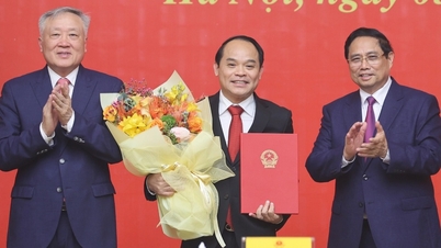Thủ tướng trao quyết định bổ nhiệm cho ông Nguyễn Quốc Đoàn