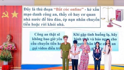 وین هونگ وارد در واکنش به روز قانون، فعالیت‌های عملی زیادی را سازماندهی می‌کند.