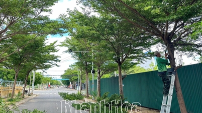 निन्ह चू वार्ड सक्रिय रूप से तूफानों को रोकता है और उनसे लड़ता है