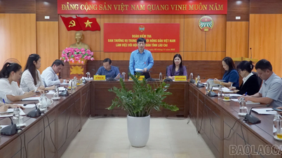 اللجنة المركزية لاتحاد المزارعين في فيتنام تعمل مع اتحاد المزارعين الإقليمي في لاو كاي