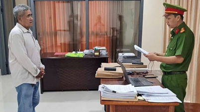 Khởi tố giám đốc công ty có hành vi trốn thuế