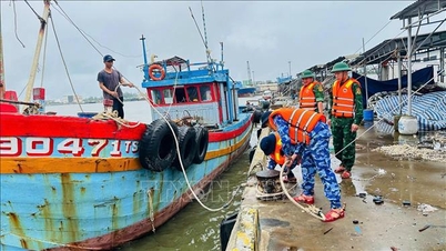 Bộ đội Biên phòng Đà Nẵng chạy đua với thời gian, chủ động ứng phó với bão