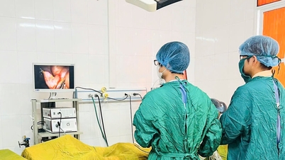 Chirurgischer Eingriff bei einem seltenen Fall einer präpylorischen Magenperforation bei einem pädiatrischen Patienten