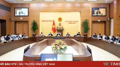 ពិនិត្យករណីស្តារដីឡើងវិញ ដើម្បីបំពេញតម្រូវការជាក់ស្តែង