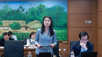 Doskonalenie prawa własności intelektualnej w celu promowania „miękkiego złota” w gospodarce