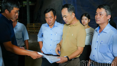 Khanh Viet Corporation iverksetter proaktivt redningsarbeid for storm nr. 13