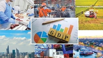 El Gobierno despliega tareas clave para maximizar el cumplimiento de los objetivos de desarrollo socioeconómico para 2025.