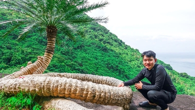 Hon Son'daki "yaşlı" sikadın güzelliği