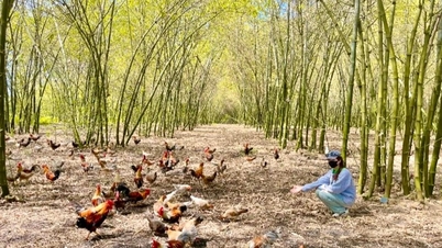 تغيير عقلية "القيام بما هو متاح" إلى "القيام بما يحتاجه السوق"