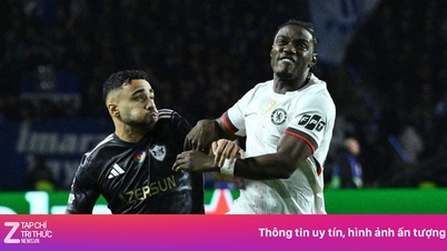 첼시 스타, 재앙이라는 비난 받아