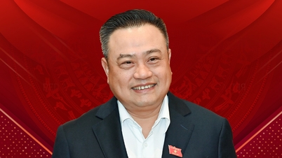 Кар'єрний шлях нового голови Центральної інспекційної комісії Тран Сі Тханя