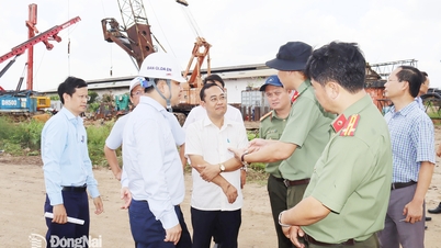 Relocating Bien Hoa 1 Industrial Park: A "Measurement" of Corporate Responsibility