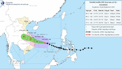La tempête n° 13 se déplace plus rapidement, à seulement 450 km environ de Quy Nhon.