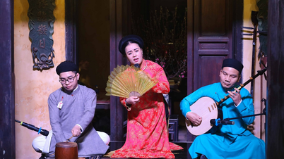 Le département d'études vietnamiennes offre des conseils pour un développement national durable