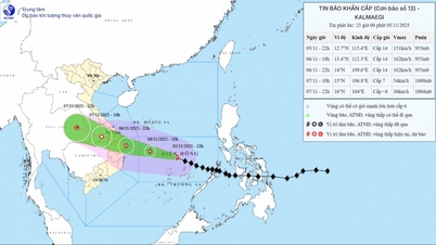 ১৭ মাত্রার ঝড় সহ ১৩ নম্বর ঝড়ের কারণে দা নাং থেকে ডাক লাক পর্যন্ত ভারী বৃষ্টিপাত হচ্ছে