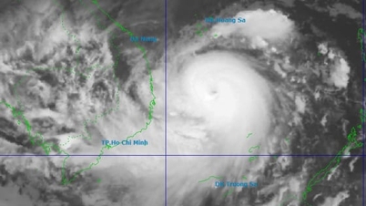 13 No'lu Fırtına Quy Nhon'a 360 km uzaklıkta