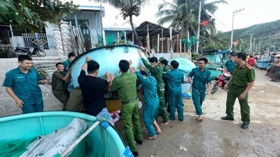 Ứng phó với bão Kalmaegi tại hai xã giáp ranh vùng tâm bão