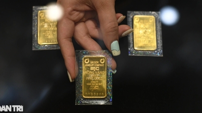 SJC-guldtackans köppris minskar, vilket minskar gapet mot världen