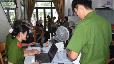 Дананг: ликвидирована сеть, сдававшая аккаунты в социальных сетях в аренду для мошенничества и азартных игр.