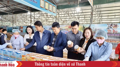 ขบวนการ “เกษตรกรดีเด่นด้านการผลิตและธุรกิจ” – อิทธิพลยั่งยืนของเกษตรกรทัญฮว้า