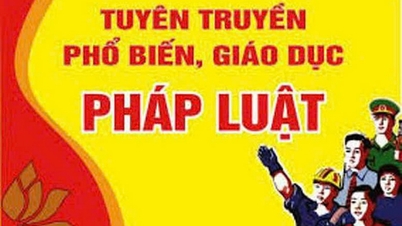 Dak Lak implementeert 'Digitale transformatie in juridische verspreiding en educatie voor de periode 2025-2030'