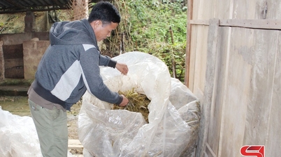 מונג לאן מונע רעב וקור עבור בעלי חיים