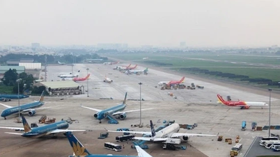 칼매기 폭풍으로 직접 피해를 입은 공항 8곳