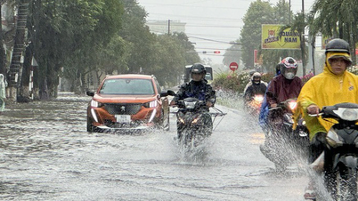 Weer vandaag 11-6: Storm nr. 13 zal vanavond aan land komen, van Da Nang tot Khanh Hoa zal er vanmiddag zware regen vallen