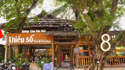 Azınlık Kahvesi ve Hanoi'nin kalbinde yayla kültürünün yayılma yolculuğu