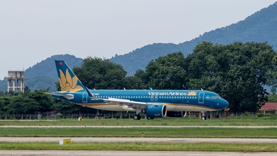 Companiile aeriene au amânat și anulat numeroase zboruri din cauza furtunii Kalmaegi