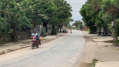 Projekt drogi 390B nadal wiąże się z problemami z wykarczowaniem terenu w gminie Ha Bac