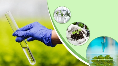 Digital transformationsrevolution - Miljöövervakning