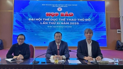 হ্যানয় ১১তম ক্যাপিটাল স্পোর্টস ফেস্টিভ্যালের জন্য প্রস্তুত