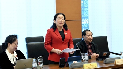 Delegasi Majelis Nasional memberikan pendapat tentang pajak transfer emas batangan