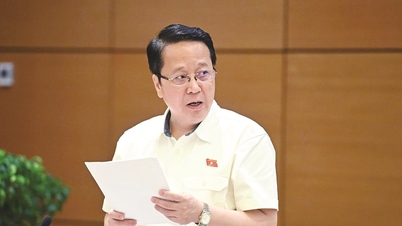 Dự thảo Luật Hoạt động giám sát của Quốc hội và HĐND (sửa đổi): Giám sát giải quyết vụ việc khiếu nại, tố cáo, kiến nghị, phản ánh của công dân là hình thức giám sát độc lập, đặc thù