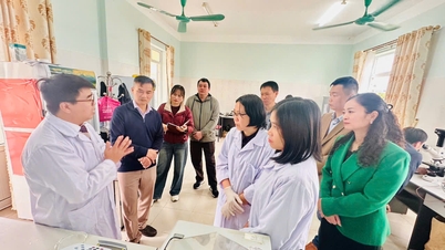 Capacitación en técnicas de separación y extracción de ADN, clonación de genes por PCR, análisis de diversidad genética e identificación de muestras vegetales mediante el método de código de barras AND, análisis de datos y elaboración de informes.