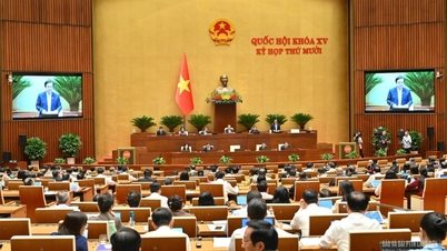 Chu Thi Hong Thai küldött: A környezetvédelembe való befektetés az ország fenntartható fejlődésébe való befektetést jelent.