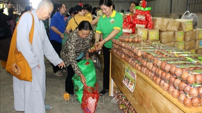 Der vietnamesische Buddhismus begleitet die Menschen in den von Überschwemmungen betroffenen Gebieten.