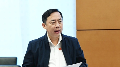 Projeto de lei que altera e complementa diversos artigos da Lei de Geologia e Minerais: Muitas regulamentações progressistas, descentralização bastante específica, remoção de obstáculos processuais.