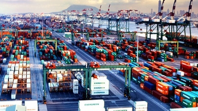 দা নাং-এ ভিয়েতনাম লজিস্টিক ফোরাম ২০২৫ আয়োজন