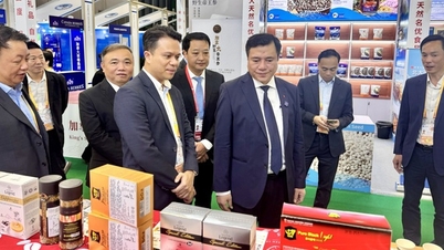 Vietnamese goederen naar Chinese consumenten brengen via de CIIE 2025-beurs