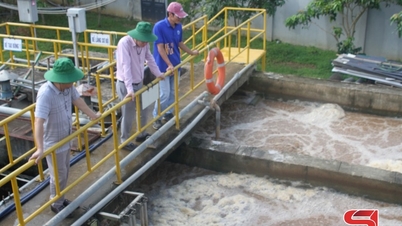 Zorgen voor het milieu bij de koffieverwerking
